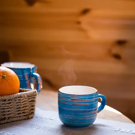 Dom wakacyjny 4 żywioły - Całoroczny Kopułowy W Górach Stronie Śląskie