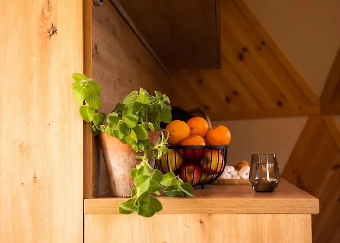 Hébergement de vacances 4 Zywioly Caloroczne W Gorach - Dostep Do Sauny